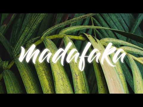 PAMELA - ( MEXICANOS x CHIMBALA )