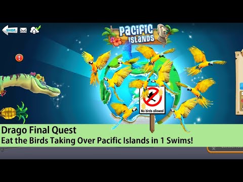 Hungry Shark World: Drago Final Quest - Eat the Birds Taking Over Pacific Islands in 1 Swims!