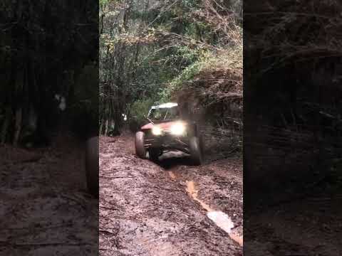 Arctic Cat Wildcat X 1000 Limited