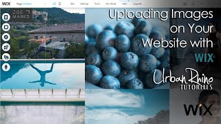 How to Upload & Change Images on Your Wix Website