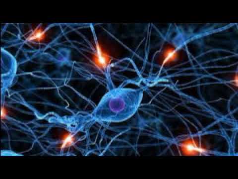 TONI VARGA  @  EL ROW  2012