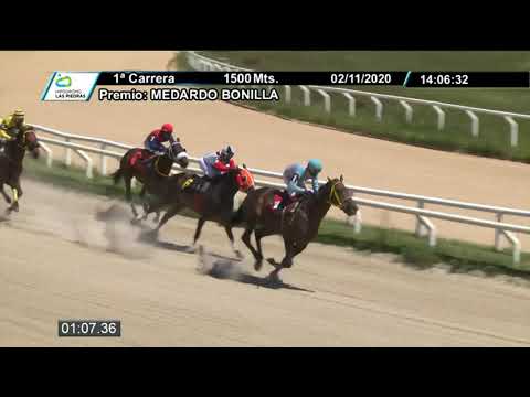 201102 c01 - TRUCK HONOUR - HIPODROMO LAS PIEDRAS