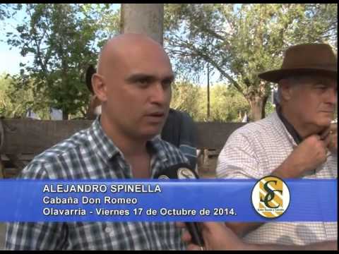 Don Romeo - Nota Alejandro Spinella - Colombo y Magliano S.A. - Olavarría - 17/10/2014