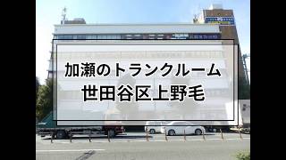 YouTube動画