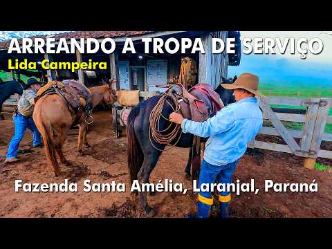 ARREANDO A TROPA DE SERVIÇO NA FAZENDA SANTA AMÉLIA - LARANJAL, PARANÁ - LIDA CAMPEIRA
