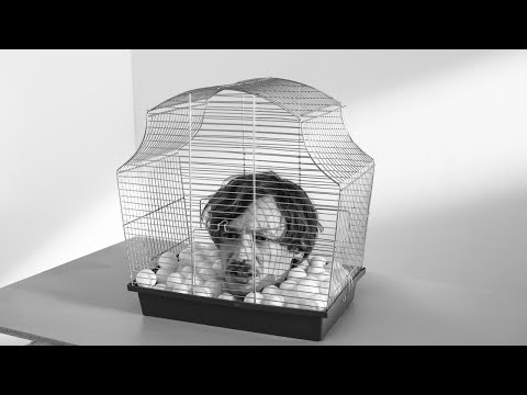 TÜSN   - Schwarzer Lambada