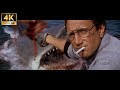 Jaws 1975 You Re Gonna Need A Bigger Boat