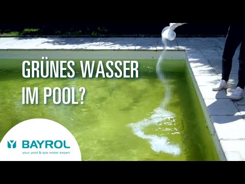 Grünes Wasser, Algen im Pool? So bekommen Sie Ihr Poolwasser wieder klar!