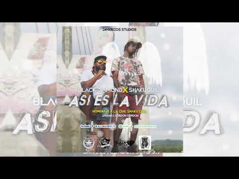 Así es la vida - BlackDiamond x LilQuil/ShakuQuil (Homenaje)