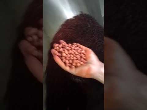 Masala peanuts  namkeen