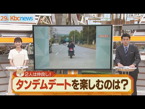 犬をバイクに乗せて旅行する方法 - バイクで犬を輸送するためのアクセサリー