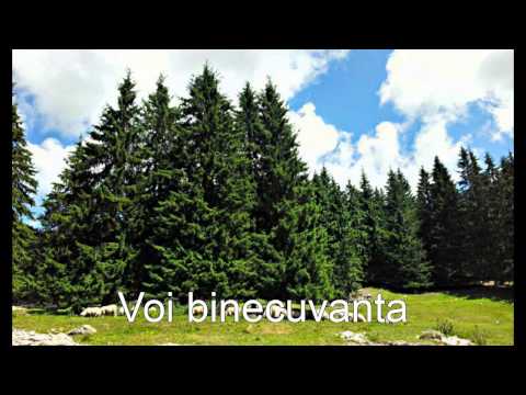 Corul Barbatesc Voitinel - Voi binecuvanta oricand pe Domnul meu