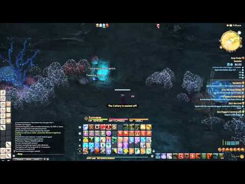 Final Fantasy XIV: A Realm Reborn - Sastasha - Level 59 White Mage Only