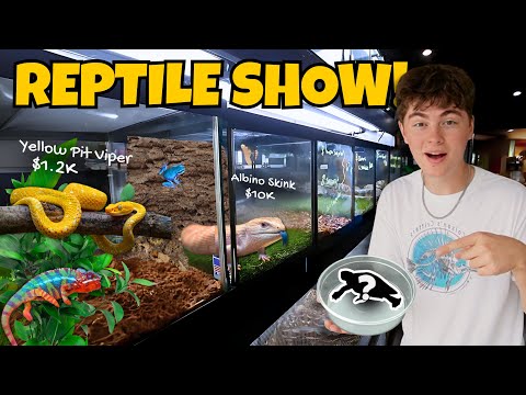BUYING Reptile’s at World’s Largest Reptile EXPO!!
