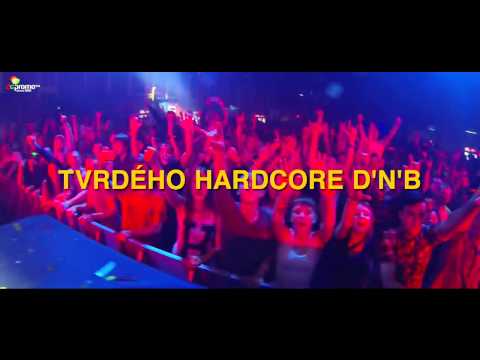 Festival Svojšice 2014 - Zardonic