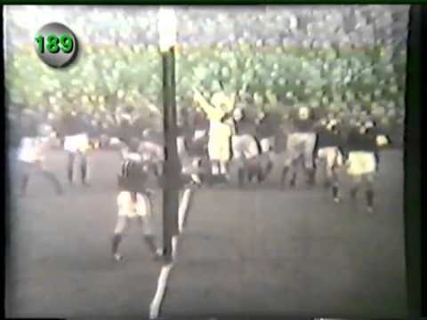 Springbok Tries - Part 2 (1955 - 1964)