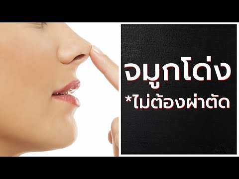 โบท็อก ปีกจมูก