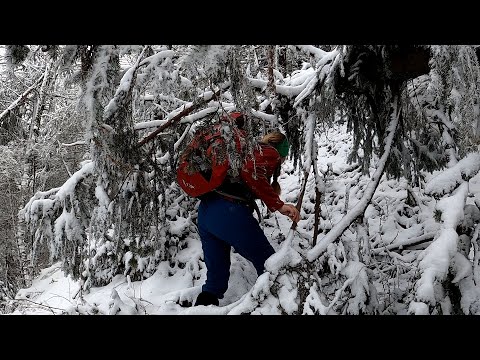Bucegi iarna: Traseu Sinaia - Piciorul Pietrei Arse - Cabana Piatra Arsă - Cabana Padina