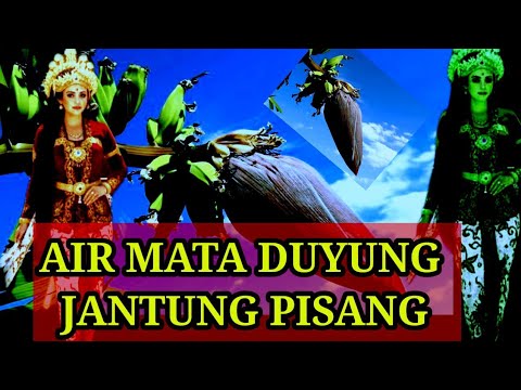 AIR MATA DUYUNG JANTUNG PISANG LANGSUNG TERBUKTI