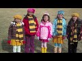 Den Brother The Bumblebees Hutch S Surprise