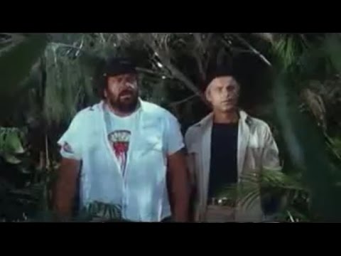 Zwei Asse trumpfen auf - Movin Cruisin