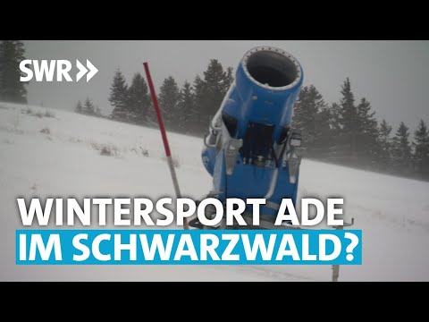 Steuergelder für Schneekanonen? |  Zur Sache! Baden-Württemberg