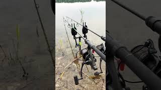 Download lagu Alat pancing serba modern #shortsviral #viralmancing #amazing #sungaikalimantan #fishingcampborneo mp3 Download lagu Alat pancing serba modern #shortsviral #viralmancing #amazing #sungaikalimantan #fishingcampborneo mp3