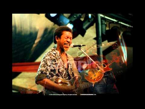 Luther Allison   Bad Love Live in Chicago 1999mrvinding