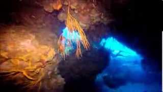 Cozumel Palancar Caves