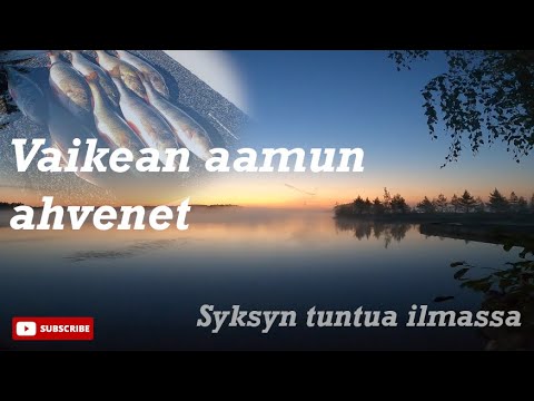 VAIKEAN AAMUN AHVENET | AHVENEN JIGAUSTA | SYKSYN MERKKEJÄ ILMASSA K1/J35