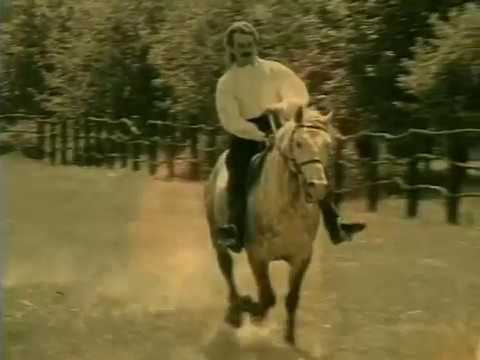 Miroslav Škoro — Ne dirajte mi ravnicu
