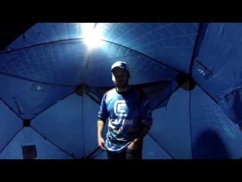 Clam Hub Light Preview