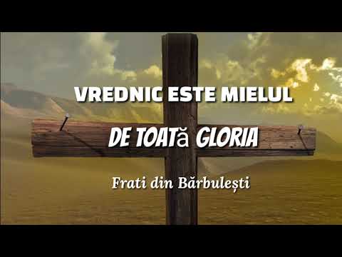 Elvis din Barbulesti - Vrednic este mielul (Elvis, Robert, Simon)