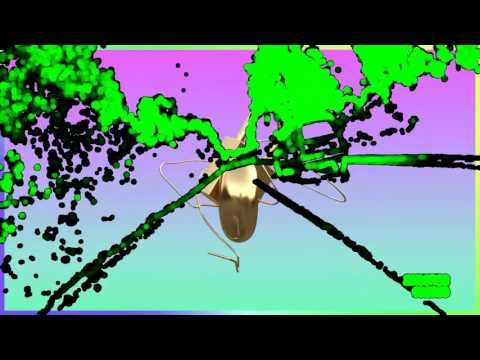 Rhythim is Rhythim – It Is What It Is (89-90)