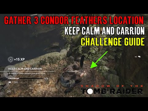 Shadow of the Tomb Raider 🏹 Keep Calm and Carrion 🏹 (The Hidden City Challenge Guide) Video