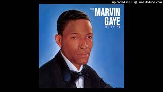 Marvin Gaye - Pride and Joy (Alternate Vocal)