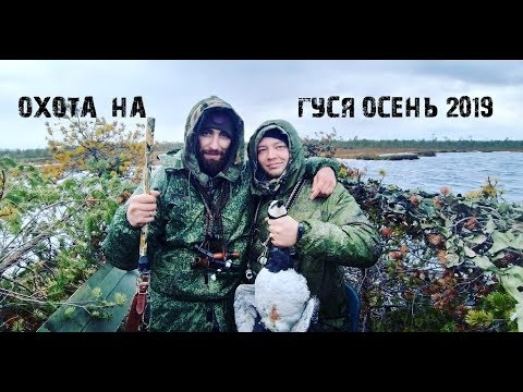 Охота на Гуся.Осень 2019.На охоту на bla bla Car. В Архангельск.