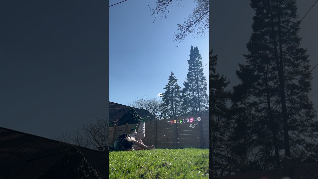 im gonna try to post more quads videos 😸 | #shorts #antizoo #quadrobics #therian #theriangear