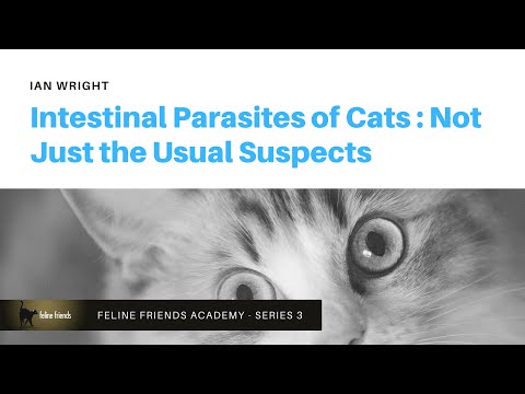 Intestinal Parasites of Cats: Not Just the Usual Suspects