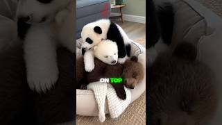 Download lagu #trend mp3