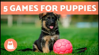 The BEST WAY to PLAY With a PUPPY 🐶 (5 Games for Puppies)