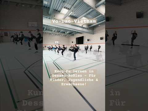 Kung-Fu lernen in Dessau-Roßlau – Für Kinder, Jugendliche & Erwachsene! www.Vo-Dao-Vietnam.de