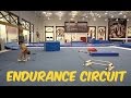 Endurance Circuit | Trampoline | Leaning Out Ep.17