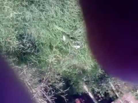 casa luz marina bogota