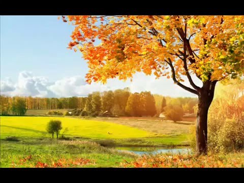 Ilahi shumë e Bukur