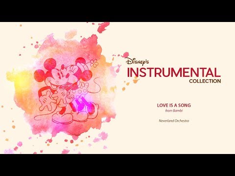 Disney Instrumental ǀ Neverland Orchestra - Love Is A Song