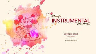 Disney Instrumental ǀ Neverland Orchestra - Love Is A Song