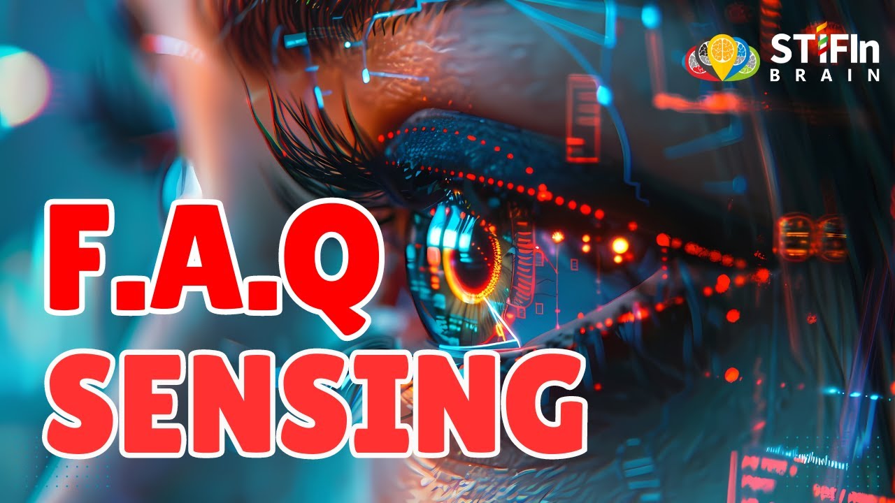 Rahasia Kaya Orang Sensing | FAQ STIFIn Sensing