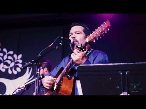 Los Cenzontles - No Politics