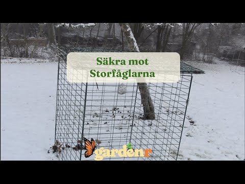 Safe against the big birds - Gardenhacks by GardenR